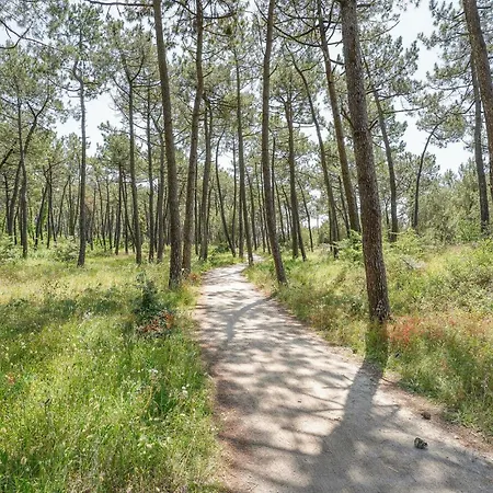 Beautiful In * La Faute-sur-Mer