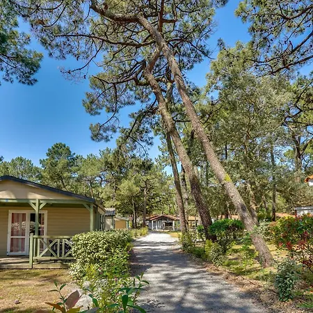 Beautiful In * La Faute-sur-Mer