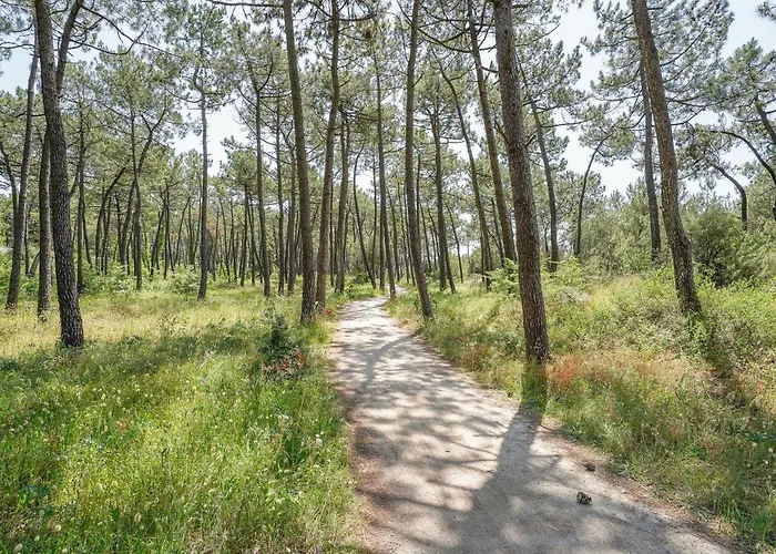 Beautiful In * 라포트 쉬르메르